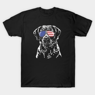 Patriotic Chesapeake Bay Retriever American Flag sunglasses T-Shirt